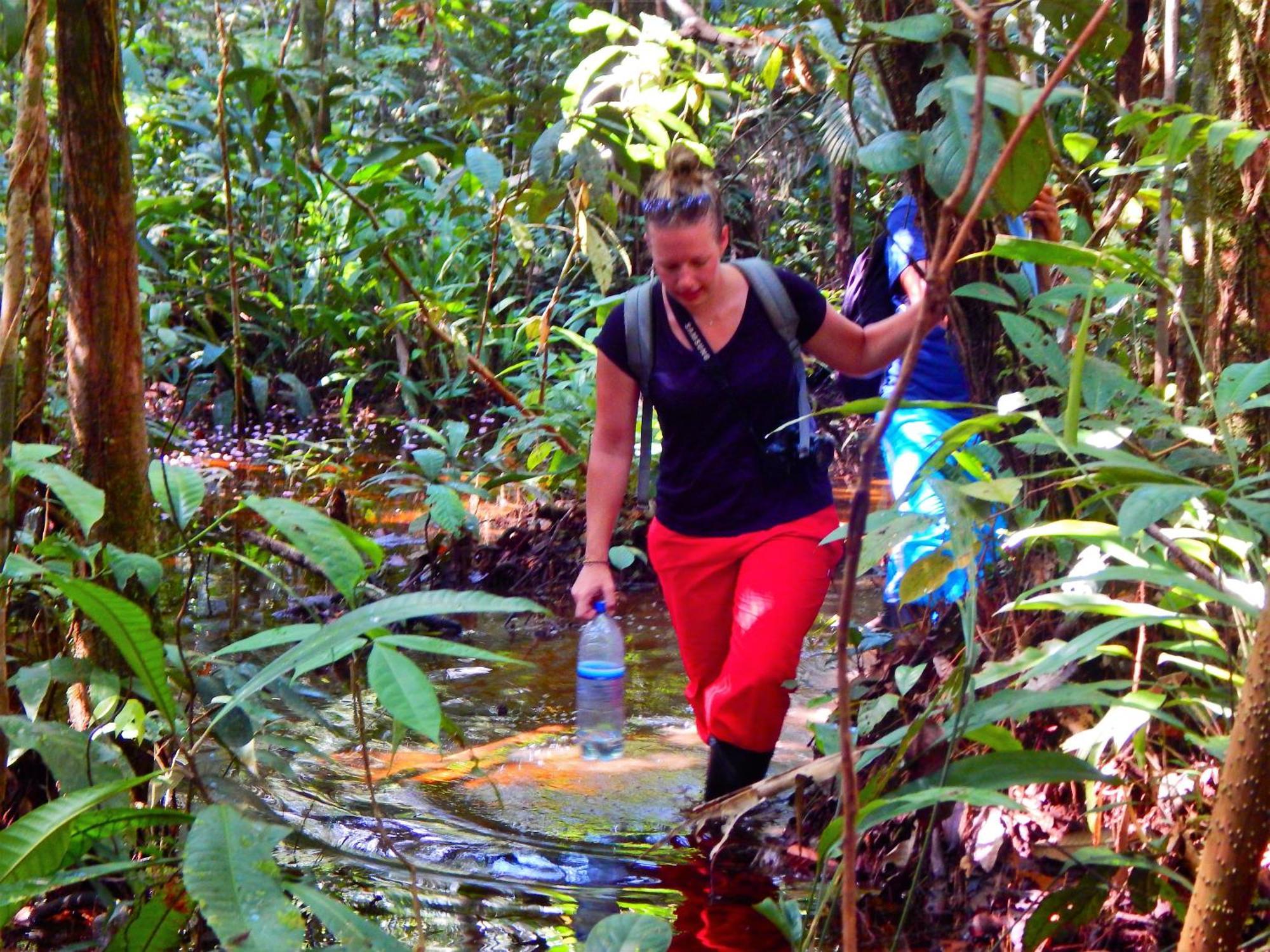 Amazon Acai Lodge Λετίσια Εξωτερικό φωτογραφία