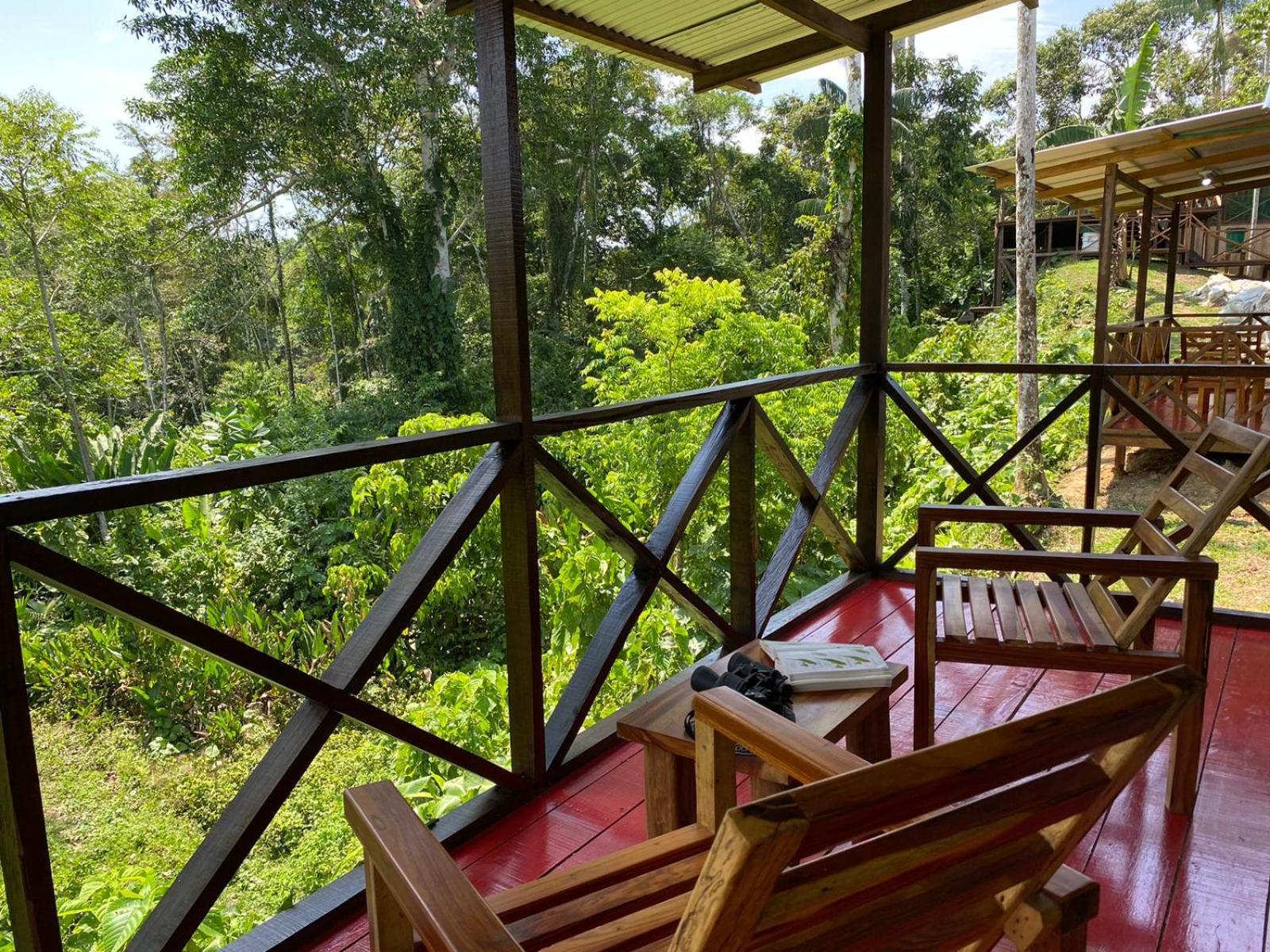 Amazon Acai Lodge Λετίσια Εξωτερικό φωτογραφία