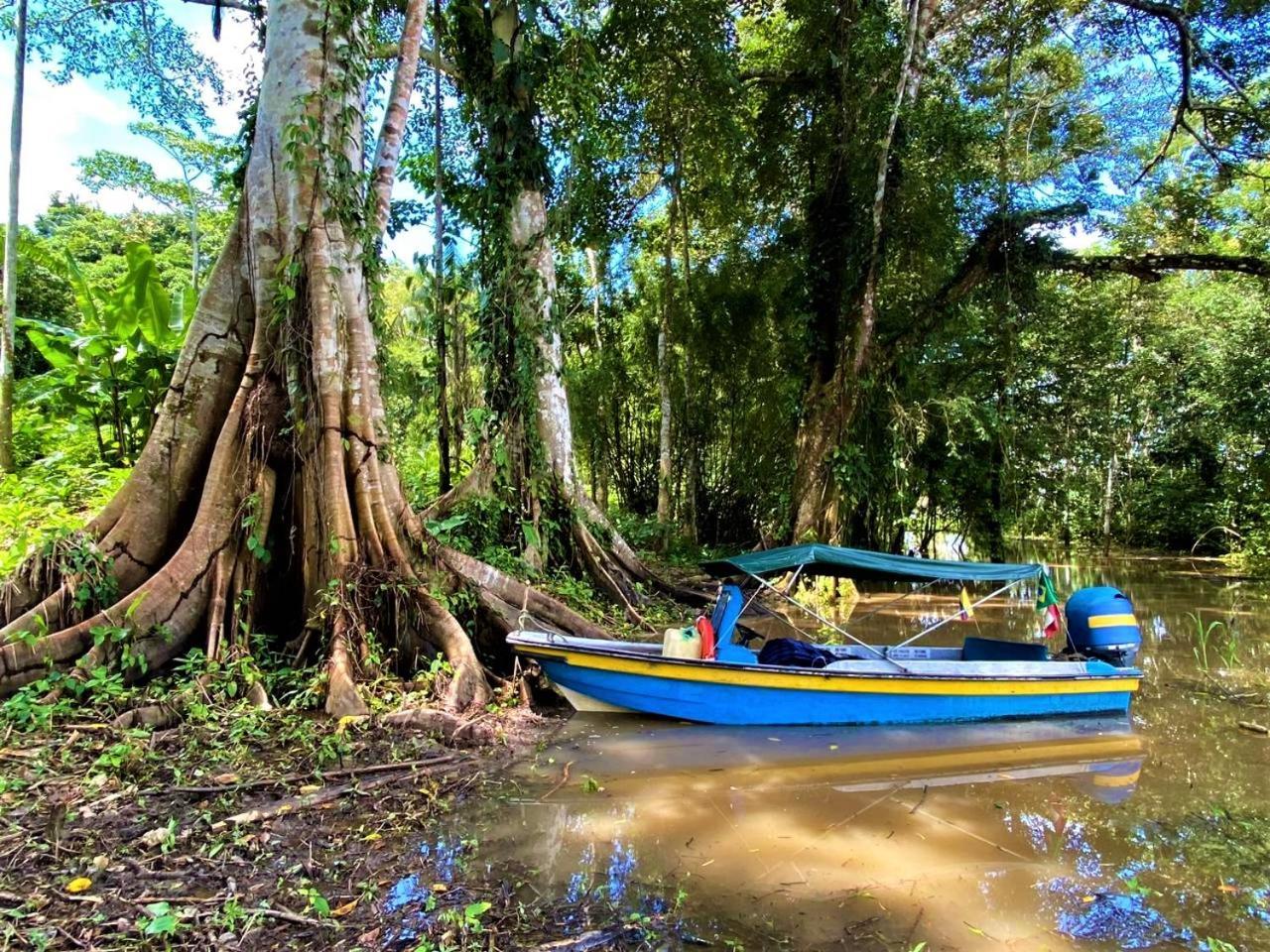 Amazon Acai Lodge Λετίσια Εξωτερικό φωτογραφία