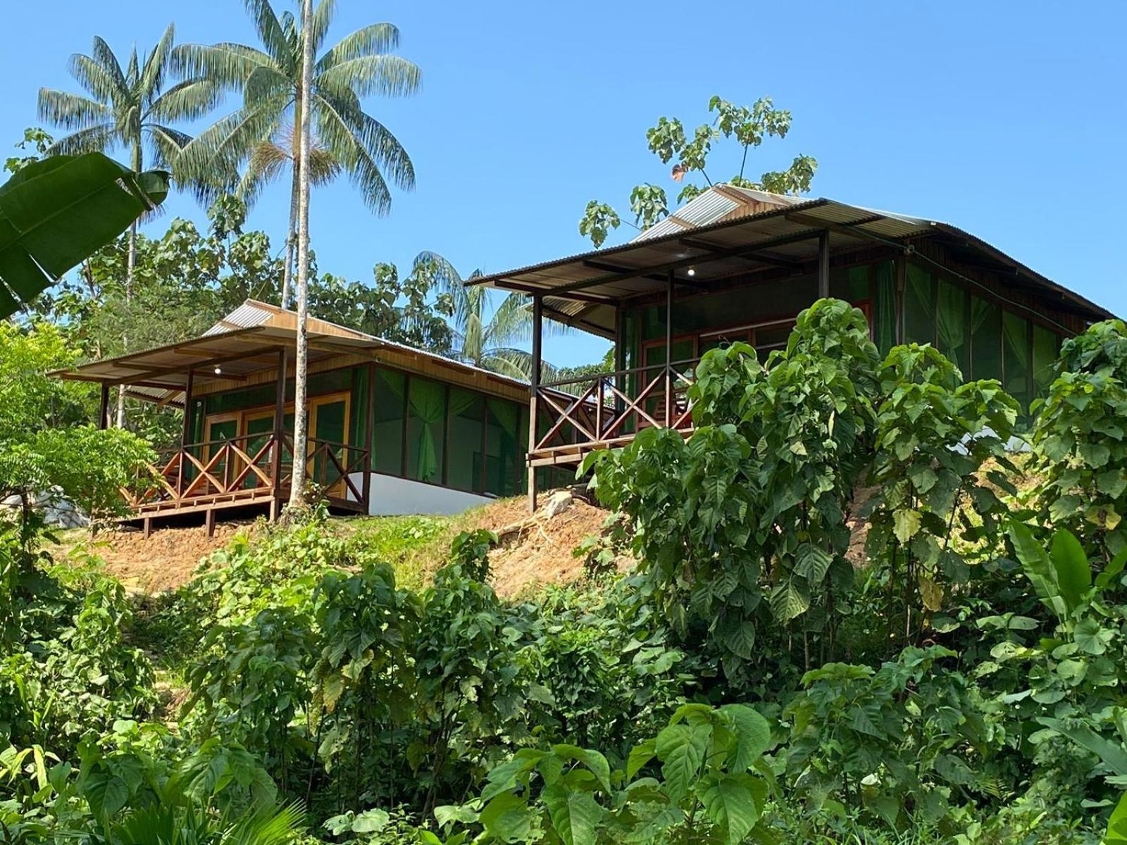 Amazon Acai Lodge Λετίσια Εξωτερικό φωτογραφία