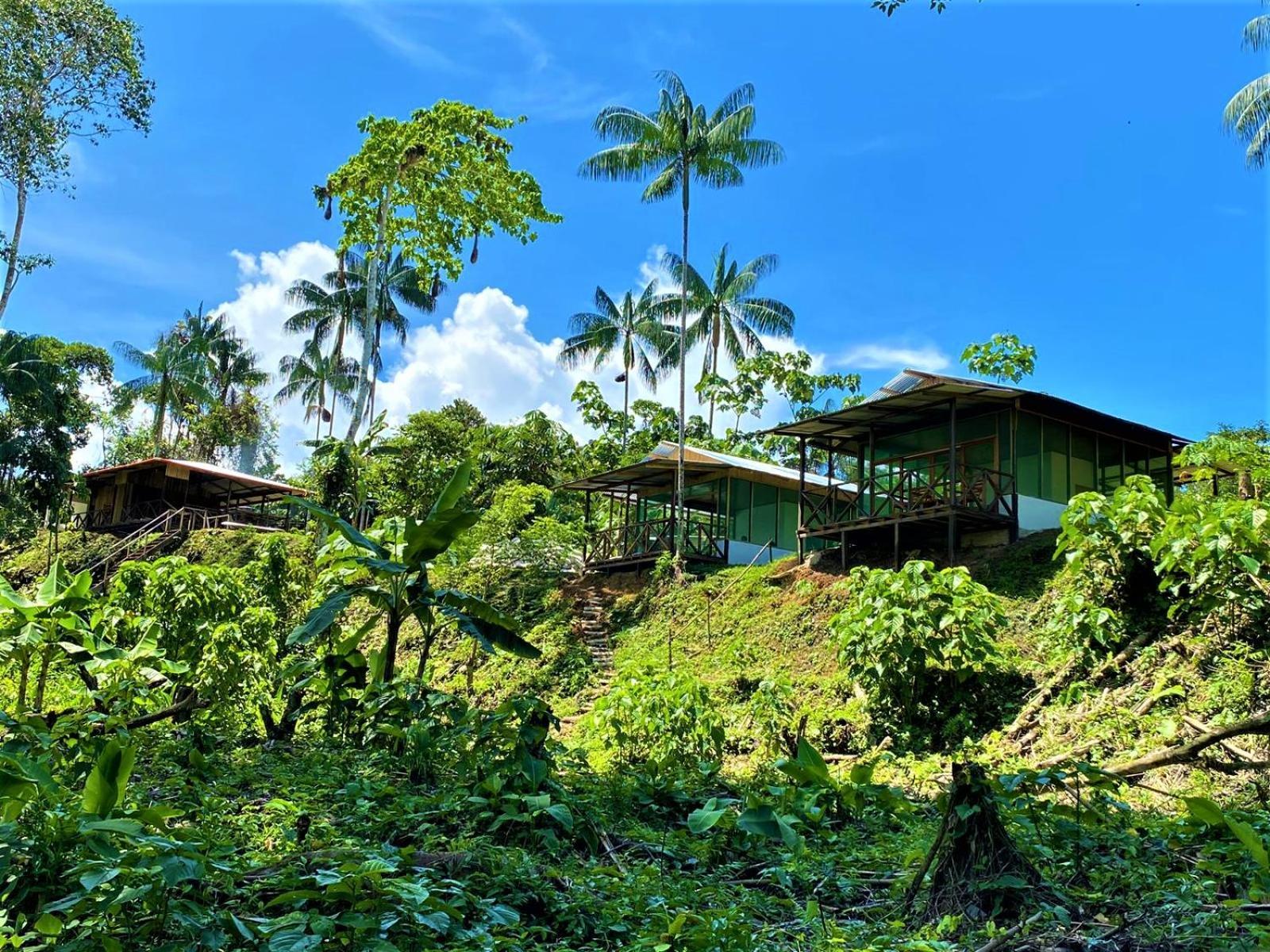 Amazon Acai Lodge Λετίσια Εξωτερικό φωτογραφία