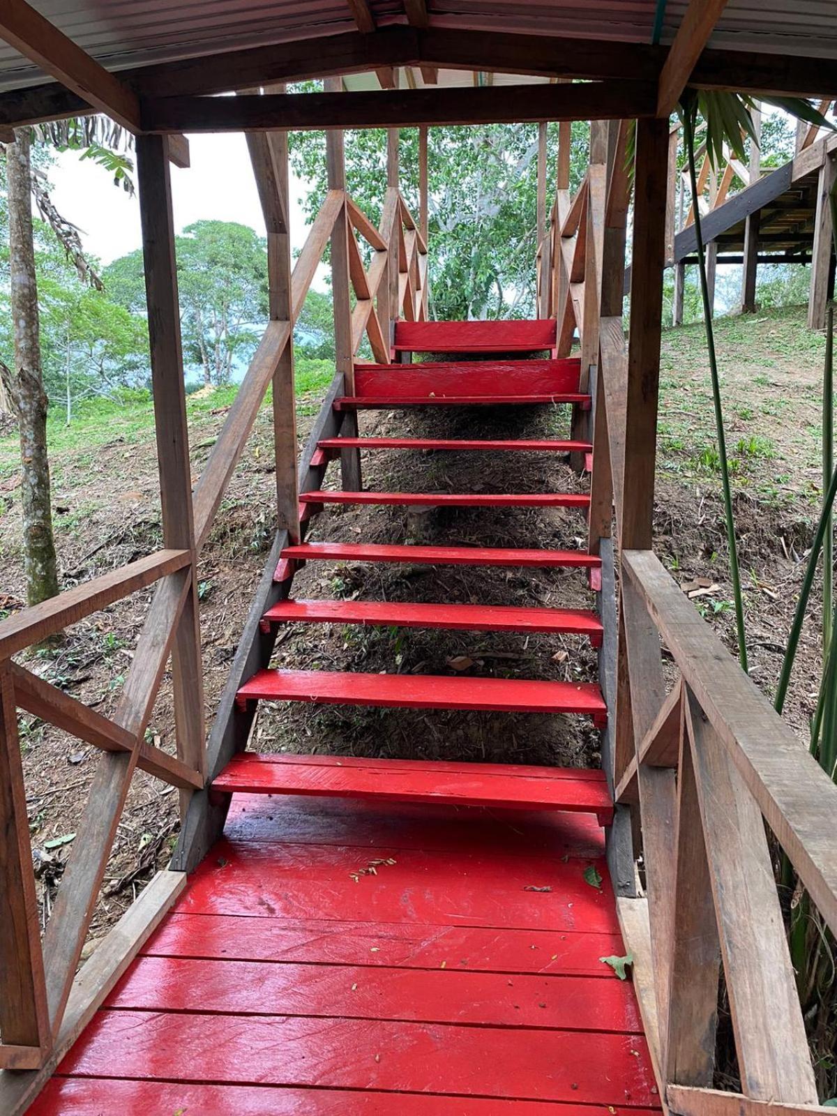 Amazon Acai Lodge Λετίσια Εξωτερικό φωτογραφία