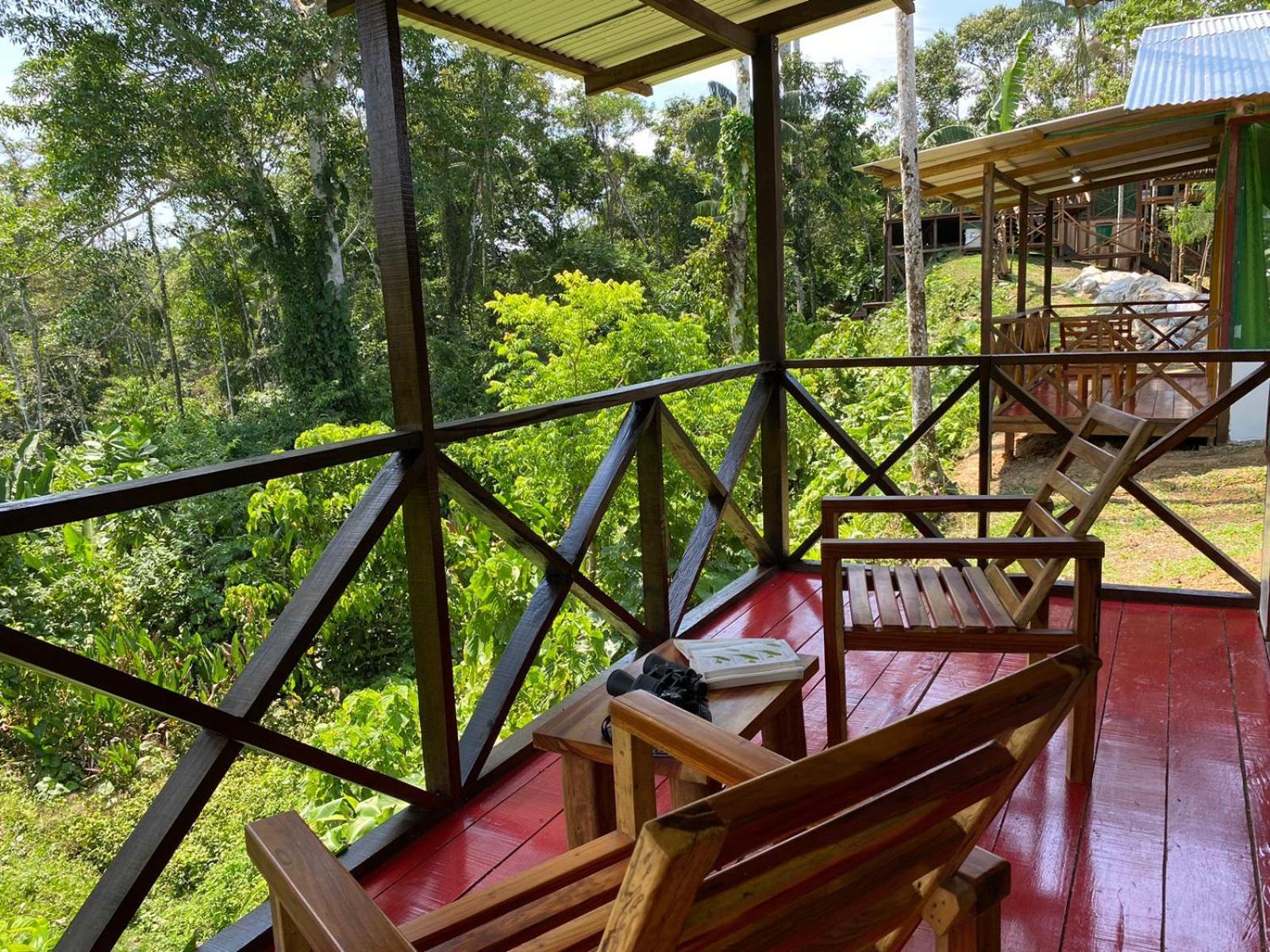 Amazon Acai Lodge Λετίσια Εξωτερικό φωτογραφία
